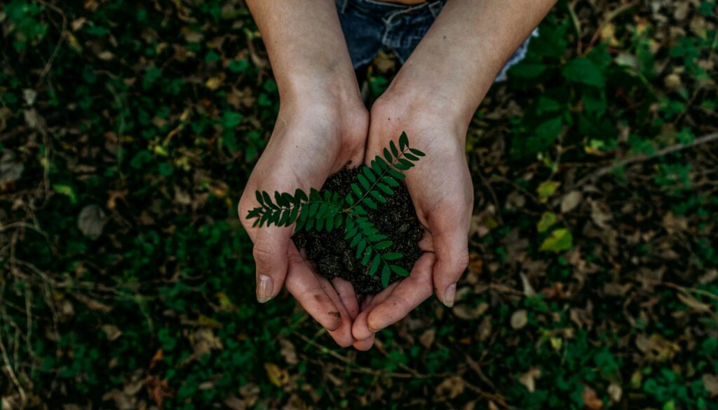 Earth Day 2024: संदेशों से जगाएं पर्यावरण जागरूकता! 1 image 2