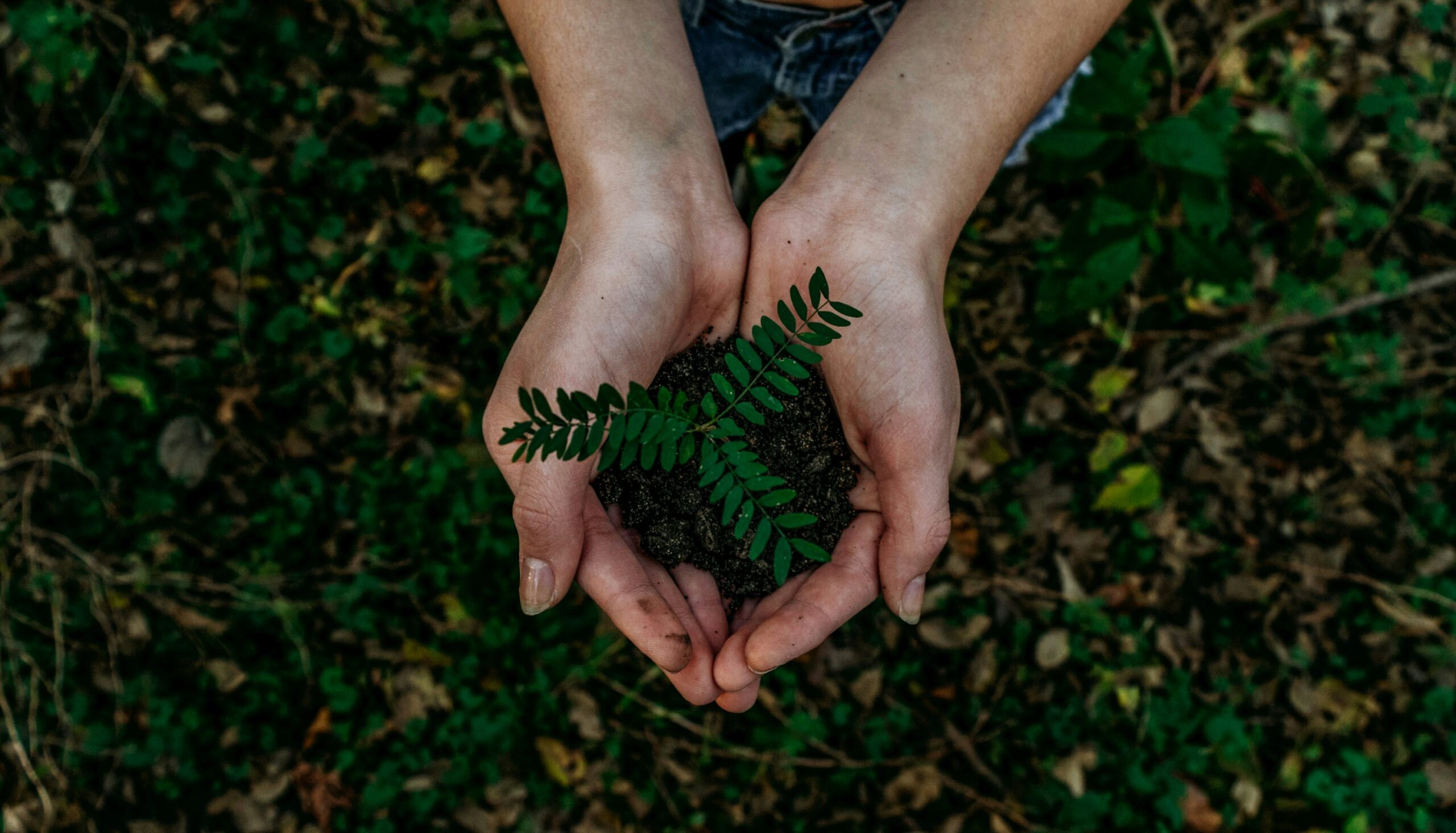 Earth Day 2024: संदेशों से जगाएं पर्यावरण जागरूकता!