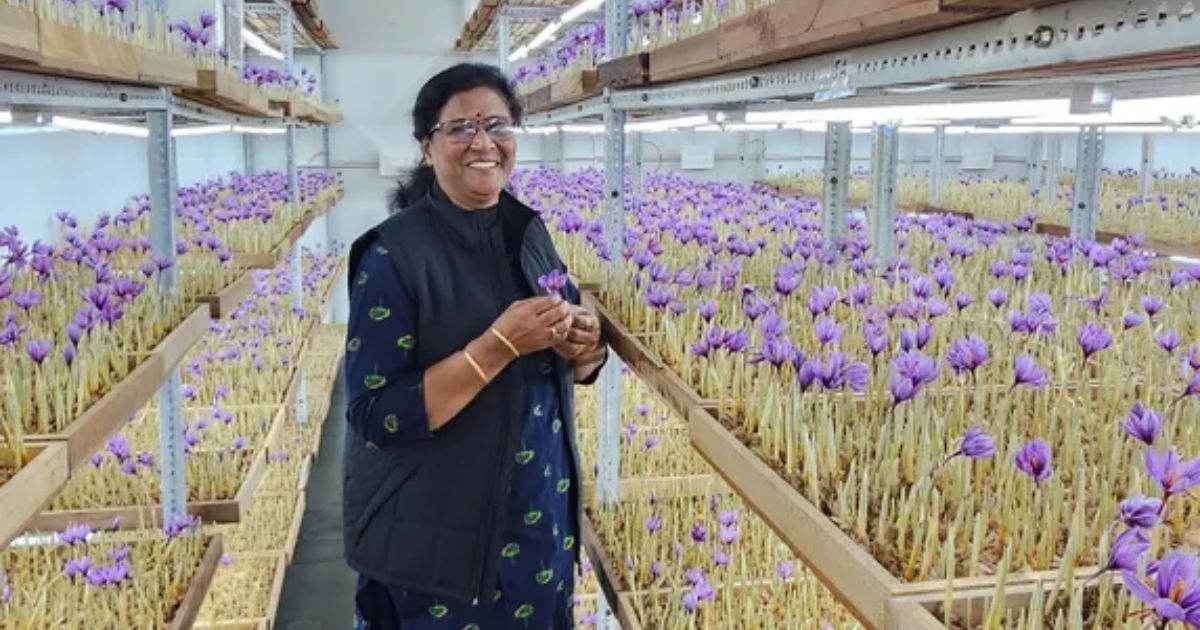'सीखने के लिए कोई उम्र सीमा नहीं होती': 63 साल की उम्र में केसर की खेती से शुरुआत कर महिला कमा रही है लाखों