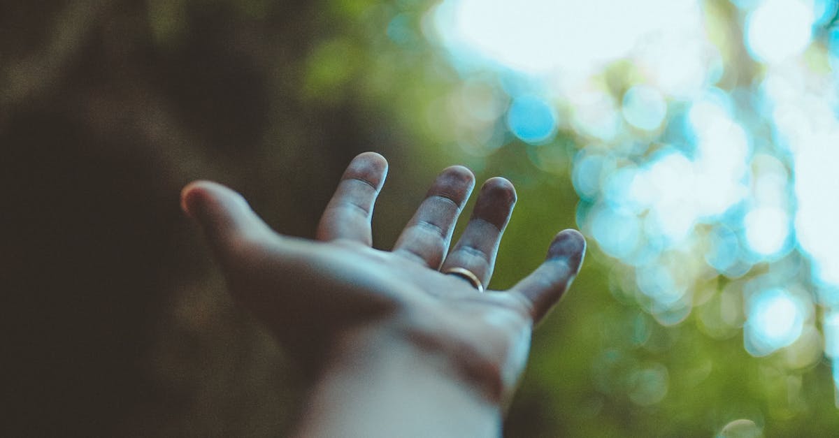 क्या सपने भविष्य बता सकते हैं? Can Dreams Predict Future? A serene hand reaching towards sunlight through tall forest trees, symbolizing peace and nature.