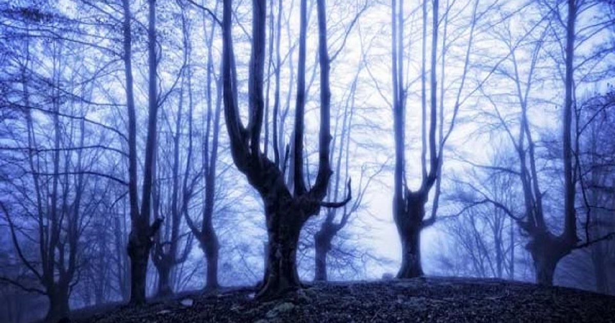 होया बस्यू — दुनिया का सबसे बड़ा परिवार — RealShePower Hindi