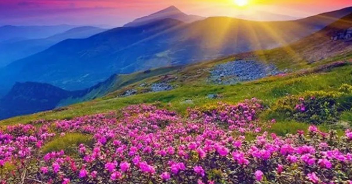 valley of flowers फूलों की घाटी राष्ट्रीय उद्यान