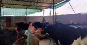 vinita