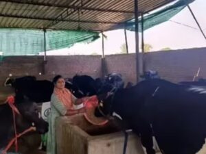 vinita