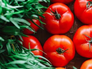 Cooking Tips : इन सब्ज़ियों में भूलकर भी न करें टमाटर का इस्तेमाल, बिगड़ जाएगा पूरा स्वाद! Close-up of fresh, juicy tomatoes surrounded by vibrant green plants.