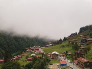 IRCTC Surprise: सिर्फ़ 15,160 रुपये में शिमला-कुफरी की क्रिसमस ट्रिप! होटल, खाना और यात्रा सब शामिल